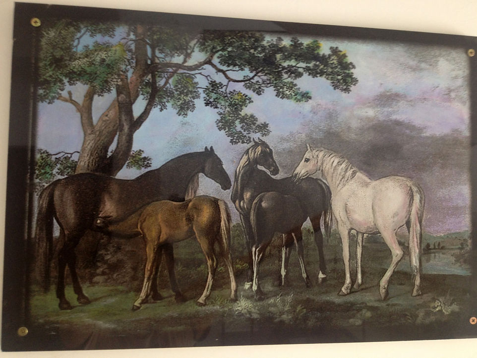 Образец цветной гравюры